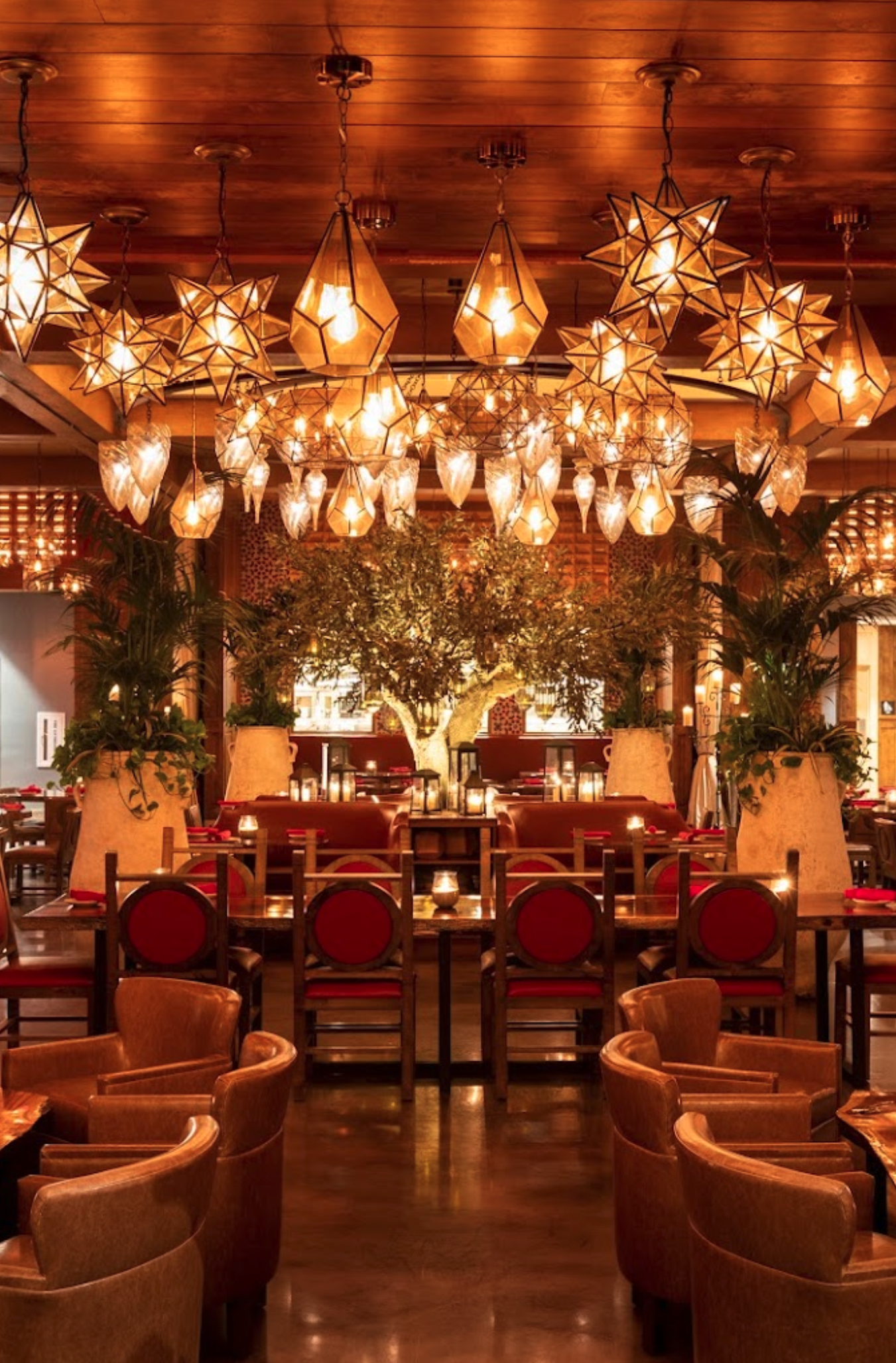 Red O Restaurant, Newport Beach - Newport Beach, CA (Fashion